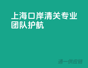 上海口岸清关，专业团队护航