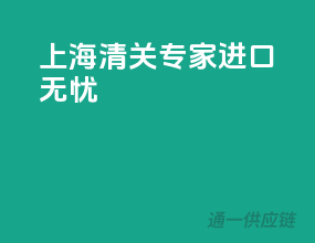 上海清关专家，进口无忧！