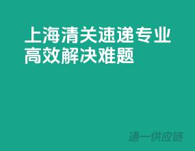 上海清关速递，专业高效解决难题