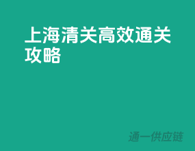 上海清关，高效通关攻略