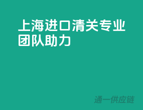 上海进口清关，专业团队助力