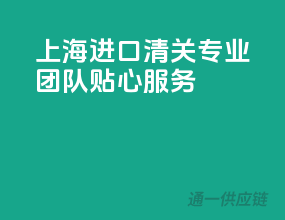 上海进口清关，专业团队，贴心服务