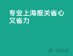 专业上海报关，省心又省力！