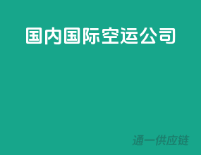 国内国际空运公司