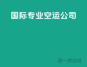 国际专业空运公司