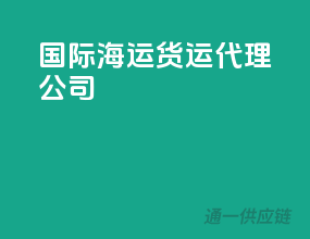 国际海运货运代理公司