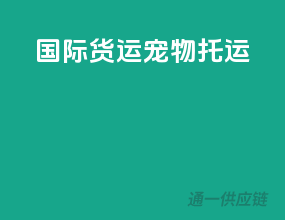 国际货运宠物托运