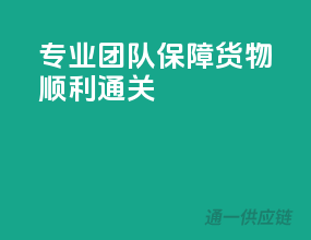 专业团队，保障货物顺利通关