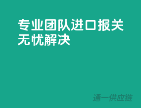 专业团队，进口报关无忧解决