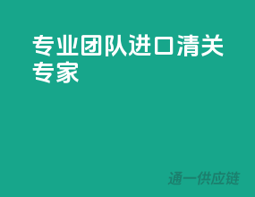 专业团队，进口清关专家