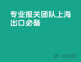专业报关团队，上海出口必备