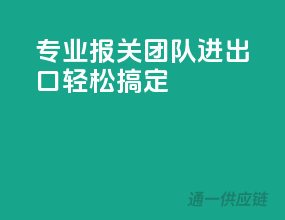 专业报关团队，进出口轻松搞定
