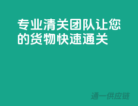 专业清关团队，让你的货物快速通关！