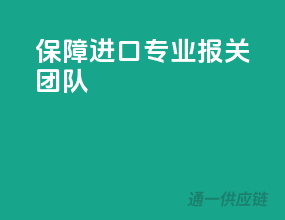 保障进口，专业报关团队