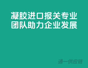 凝胶进口报关，专业团队助力企业发展
