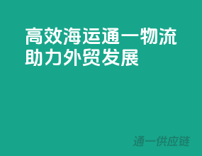 高效海运，通一物流助力外贸发展