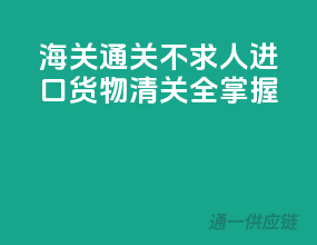 海关通关不求人，进口货物清关全掌握