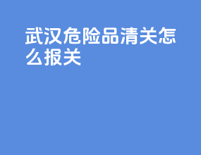 武汉危险品清关怎么报关