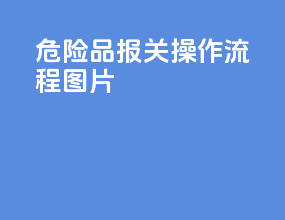 危险品报关操作流程图片
