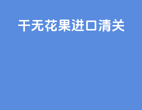 干无花果进口清关