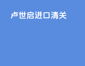 卢世启进口清关