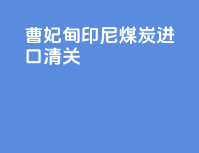 曹妃甸印尼煤炭进口清关