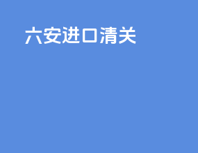 六安进口清关