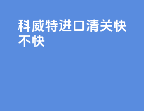 科威特进口清关快不快