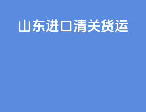山东进口清关货运