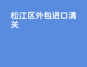 松江区外包进口清关