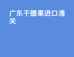 广东干腰果进口清关