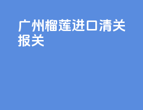 广州榴莲进口清关报关