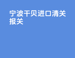 宁波干贝进口清关报关