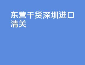 东营干货深圳进口清关