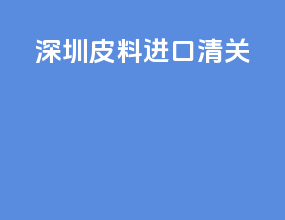 深圳皮料进口清关