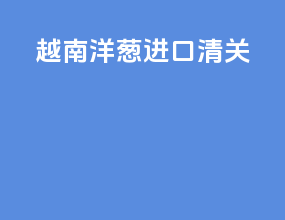 越南洋葱进口清关
