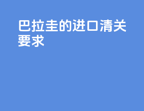 巴拉圭的进口清关要求