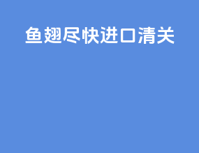 鱼翅尽快进口清关