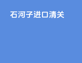 石河子进口清关