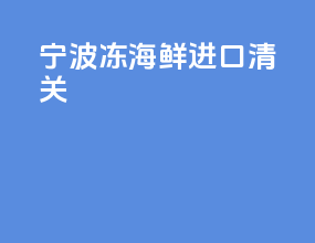 宁波冻海鲜进口清关