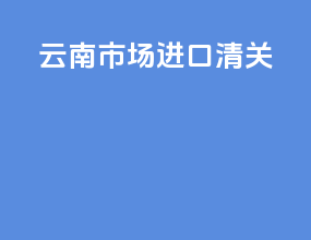 云南市场进口清关