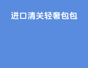 进口清关轻奢包包