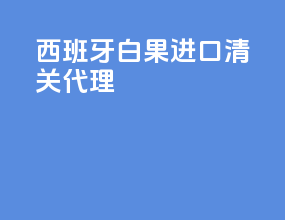 西班牙白果进口清关代理