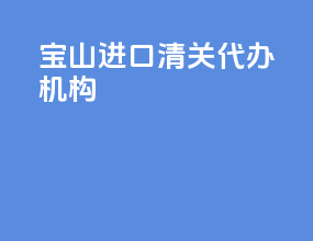 宝山进口清关代办机构