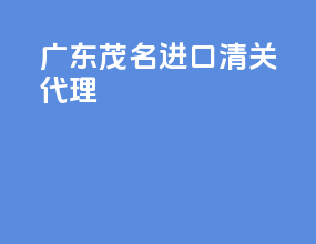 广东茂名进口清关代理