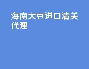 海南大豆进口清关代理