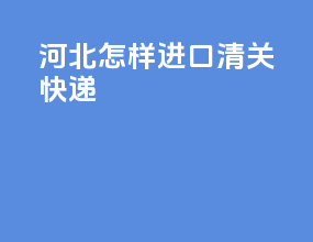 河北怎样进口清关快递