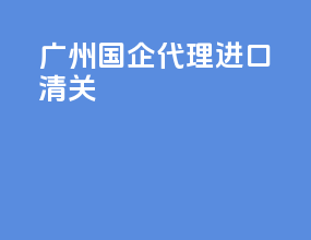 广州国企代理进口清关