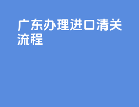 广东办理进口清关流程