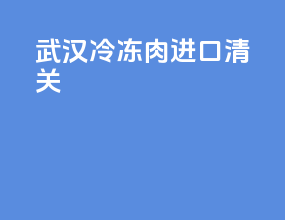 武汉冷冻肉进口清关